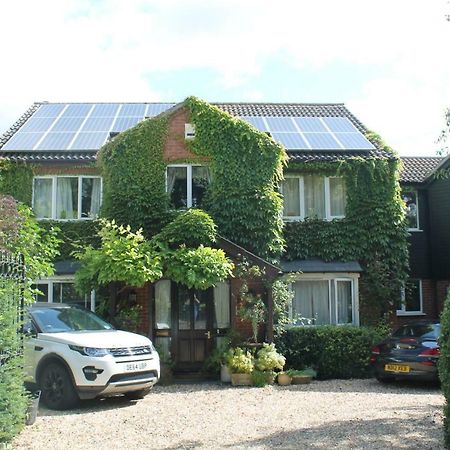 Pear Tree House Studio Ely Exterior foto